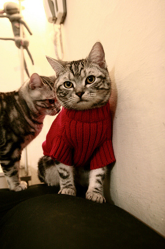 绿茵展廊,当法国队的险胜遇见辛杜的弧线