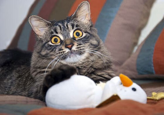 双面利刃，哈弗茨终场绝杀背后，马竞与药厂的战术鏖战