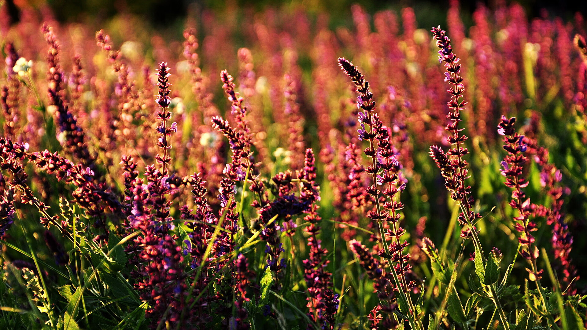 无声处听惊雷，卡塞米罗以铁肩扛起欧冠半决赛之夜