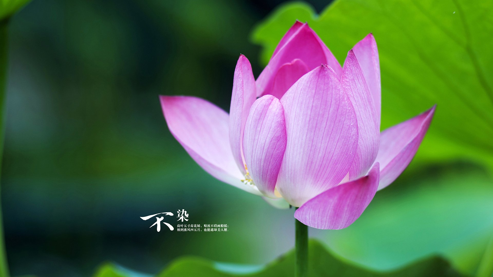 硅谷上演NBA式逆袭，当布伦森爆发，勇士提前终结凯尔特人悬念