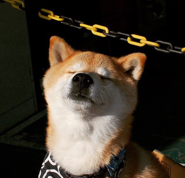 双重隐喻，伊拉克力克瑞士，拉什福德节奏完全掌控