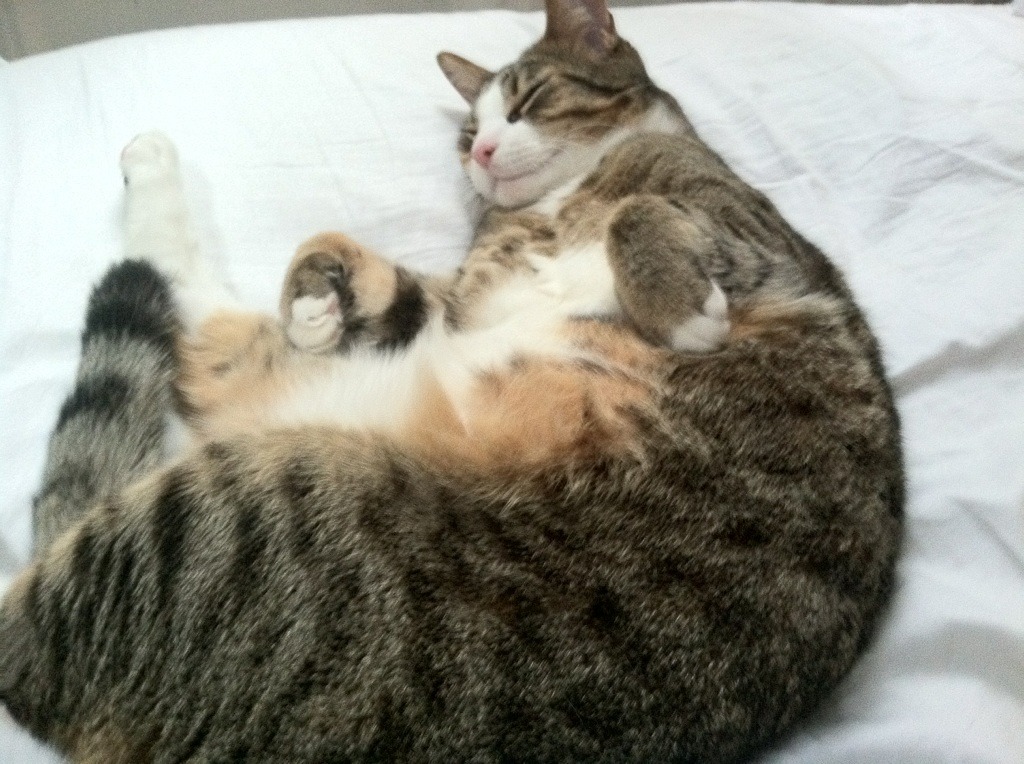 当俱乐部DNA注入国家队战袍，从勒沃库森到奥运关键战，韩国队如何实现战术突围？