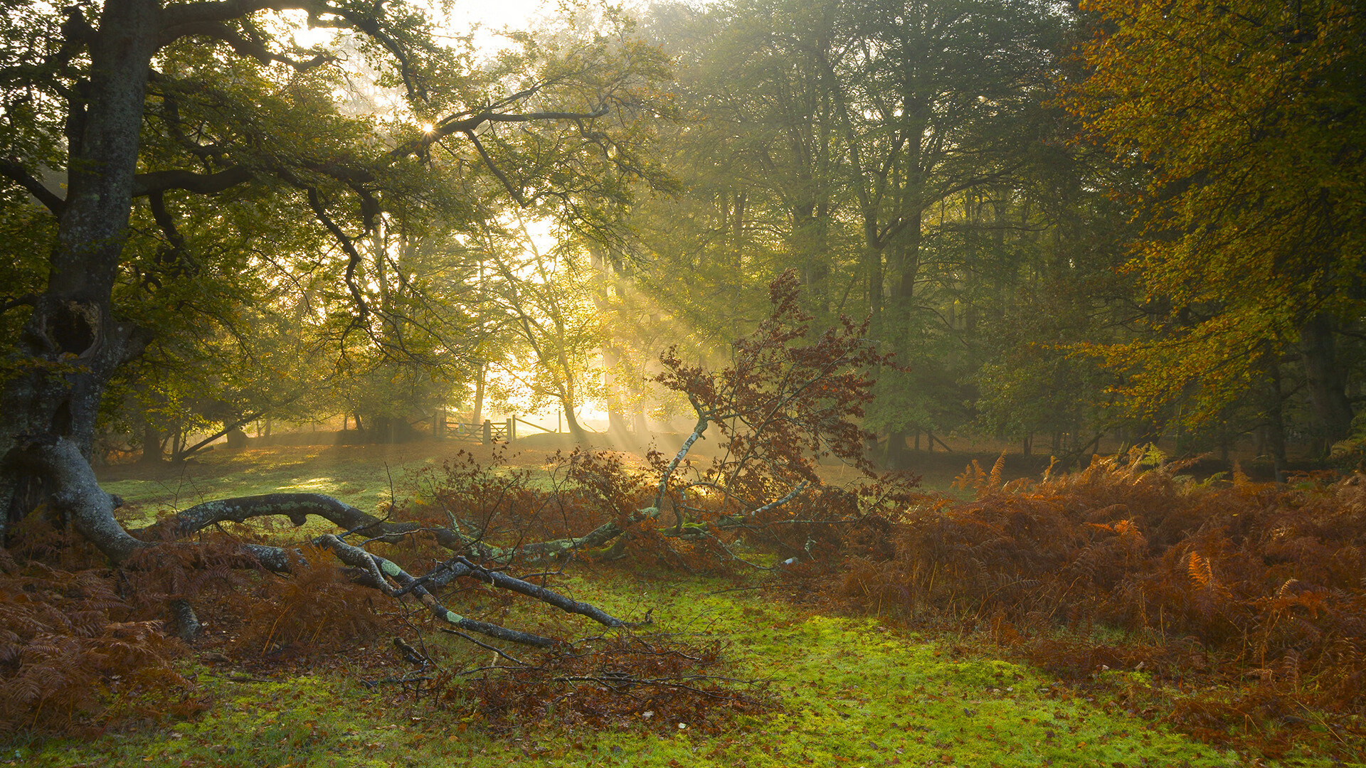 虚空交错，当保罗·乔治在沈阳体育馆拿下满分评分