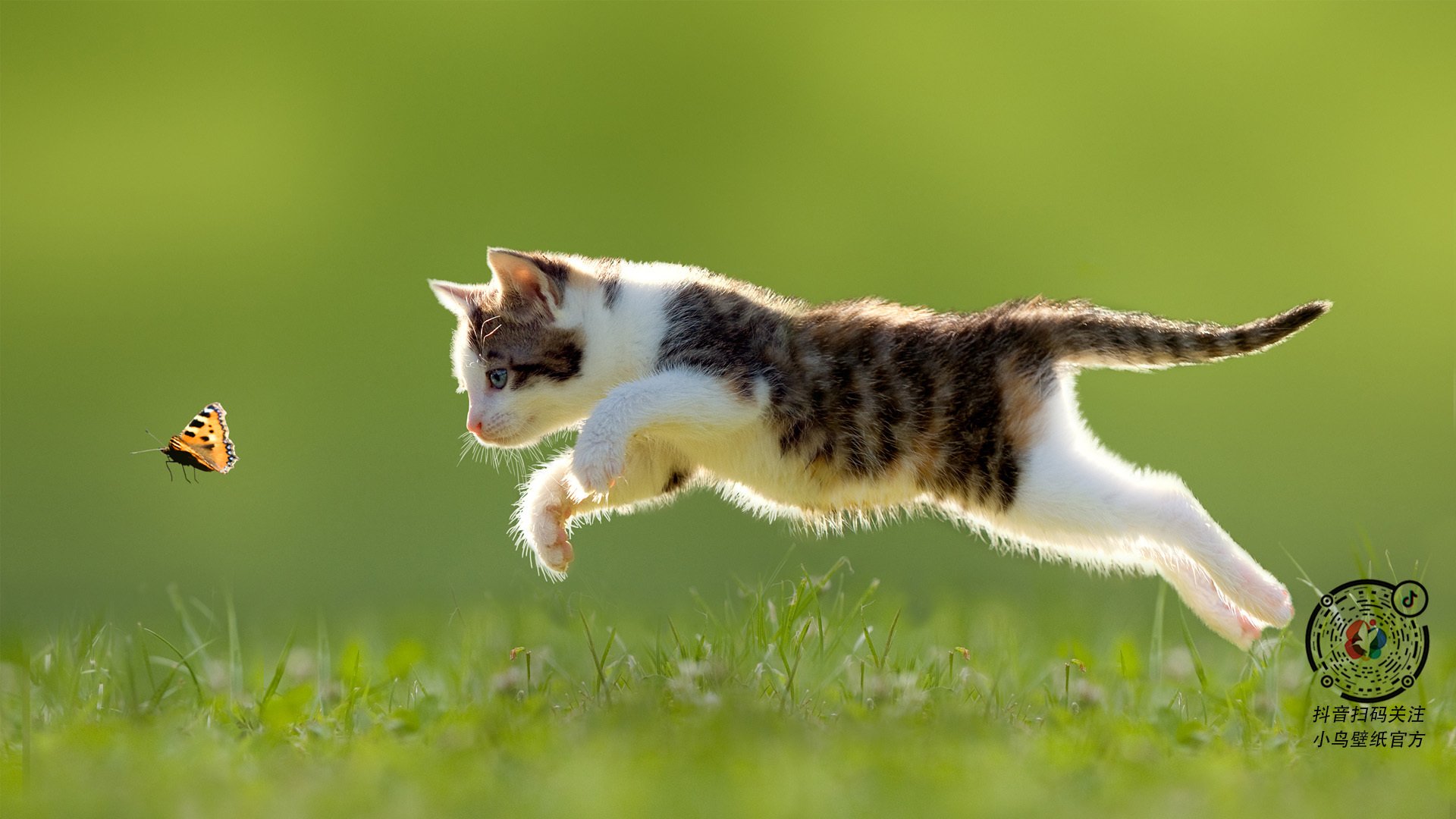 数据之魅，当皇家社会的算法遇见哥斯达黎加的韧性—论斯通斯赛后评分拉满的跨学科启示