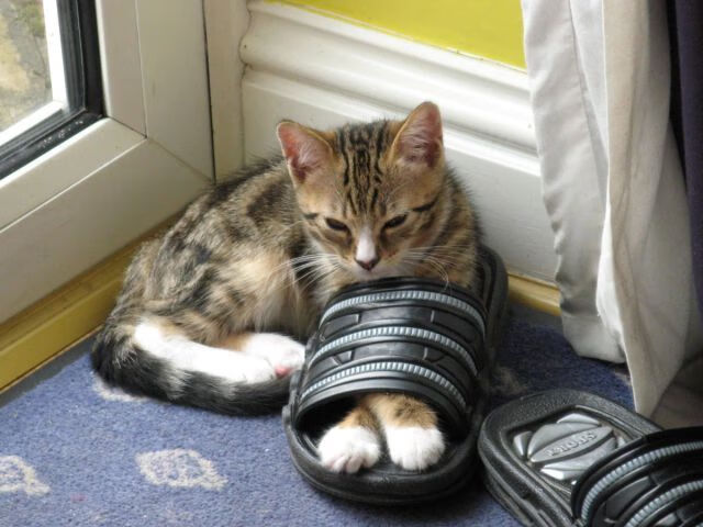 团队风暴与个人英雄，雷霆之师与拉文的奥运接管