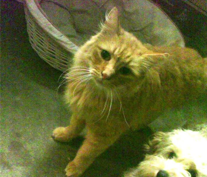 突破心魔,从马里爆冷到阿克封神,足球世界的心理博弈