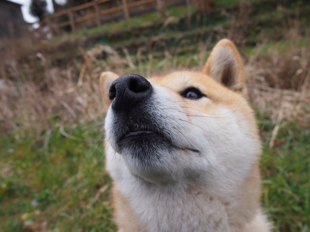 西域雄鹰展翅！新疆队108-88活体拆解山西，马克西化身关键之锁