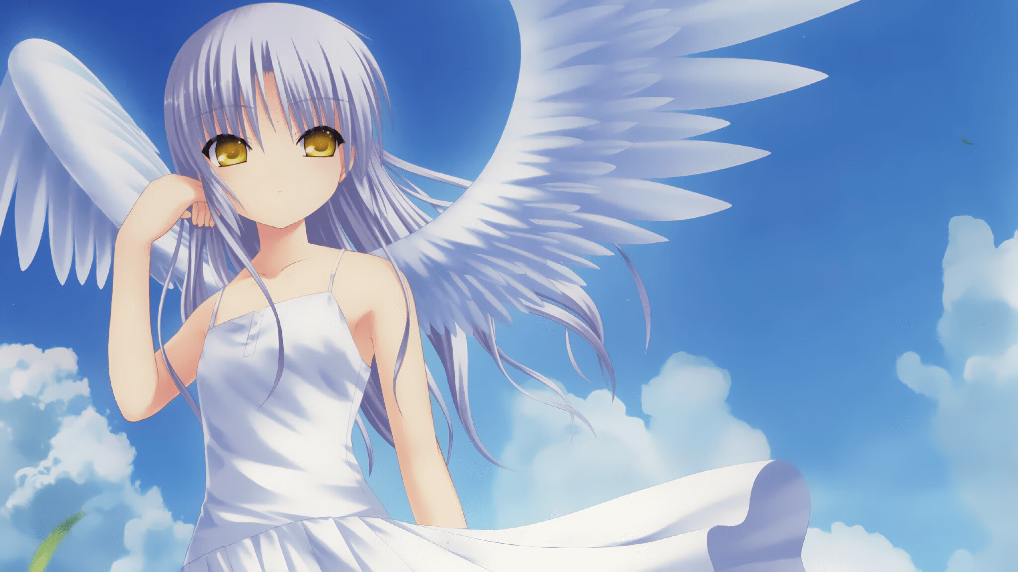 篮球双城记，广东铁壁与约基奇证明—两种胜利，一种哲学