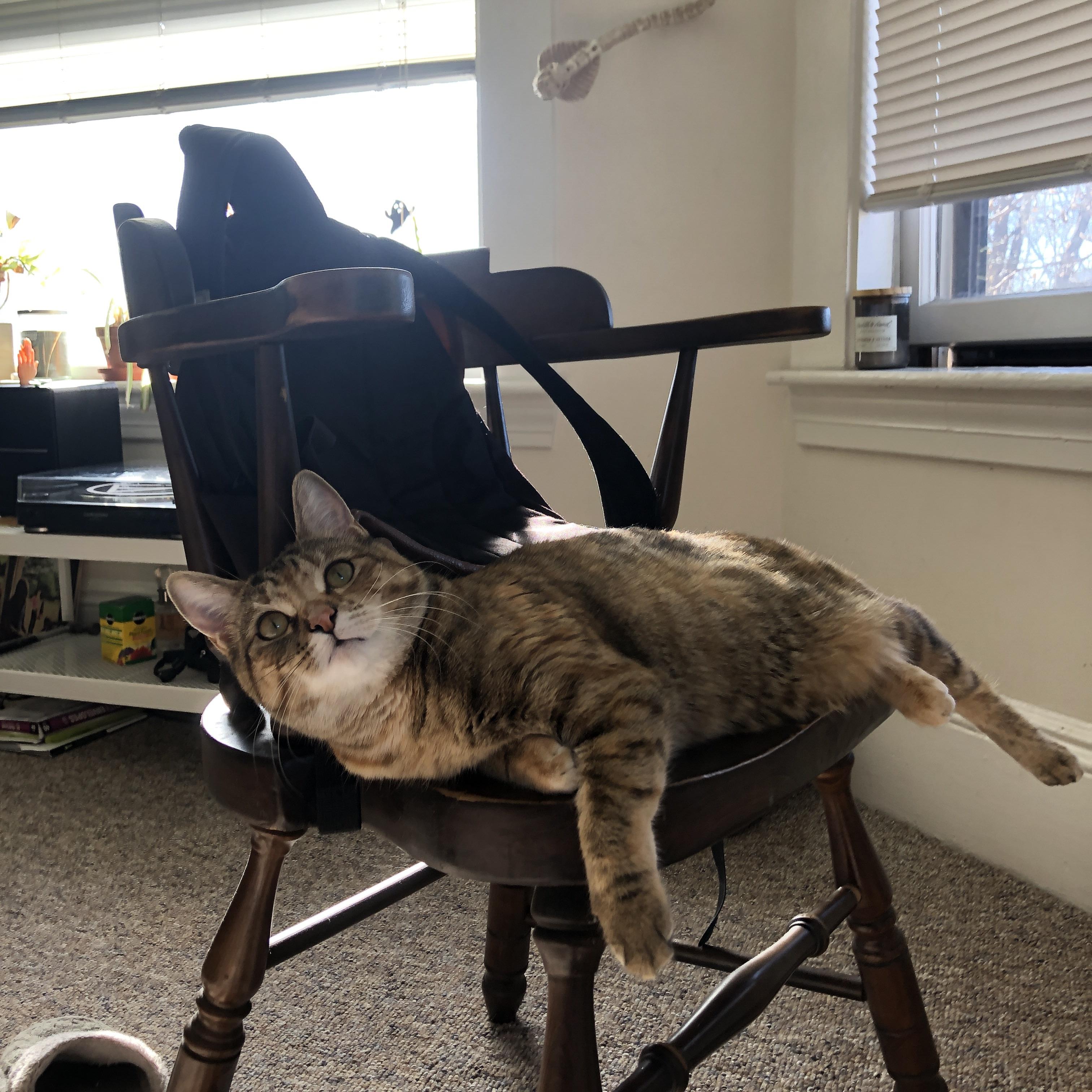 秘鲁国奥对阵皇家贝蒂斯,日本铁卫富安健洋的意外统治力