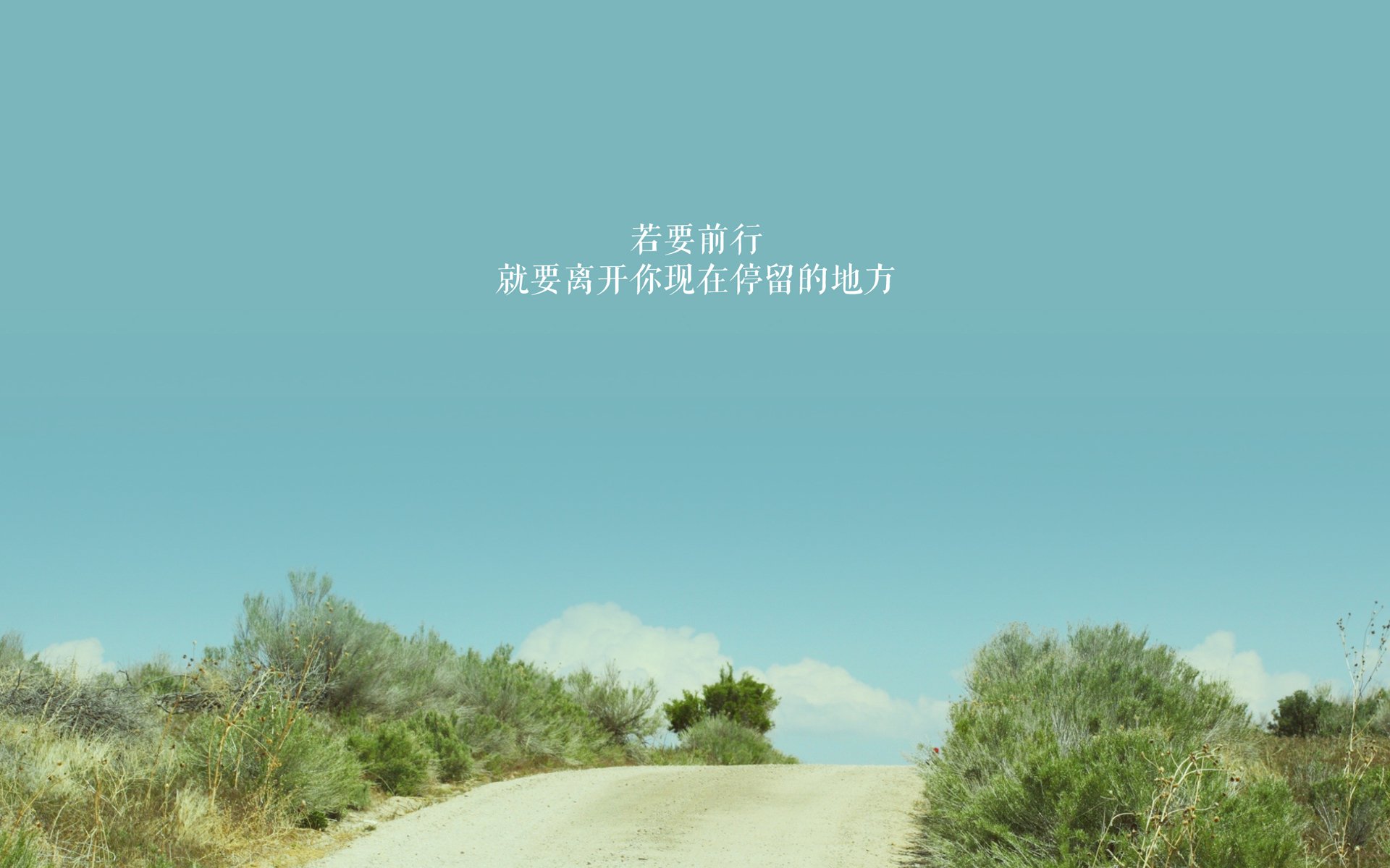 沉默的火焰，比利时黄金一代的黄昏与加拿大枫叶新雪的淬炼