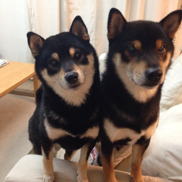 夜之焦点，梅西关键进球铸就传奇