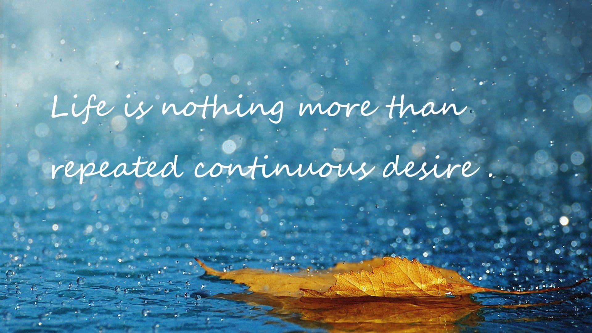 技惊四座，虽败犹荣，当福克斯化身孤胆英雄，CBA赛场见证巨星诞生