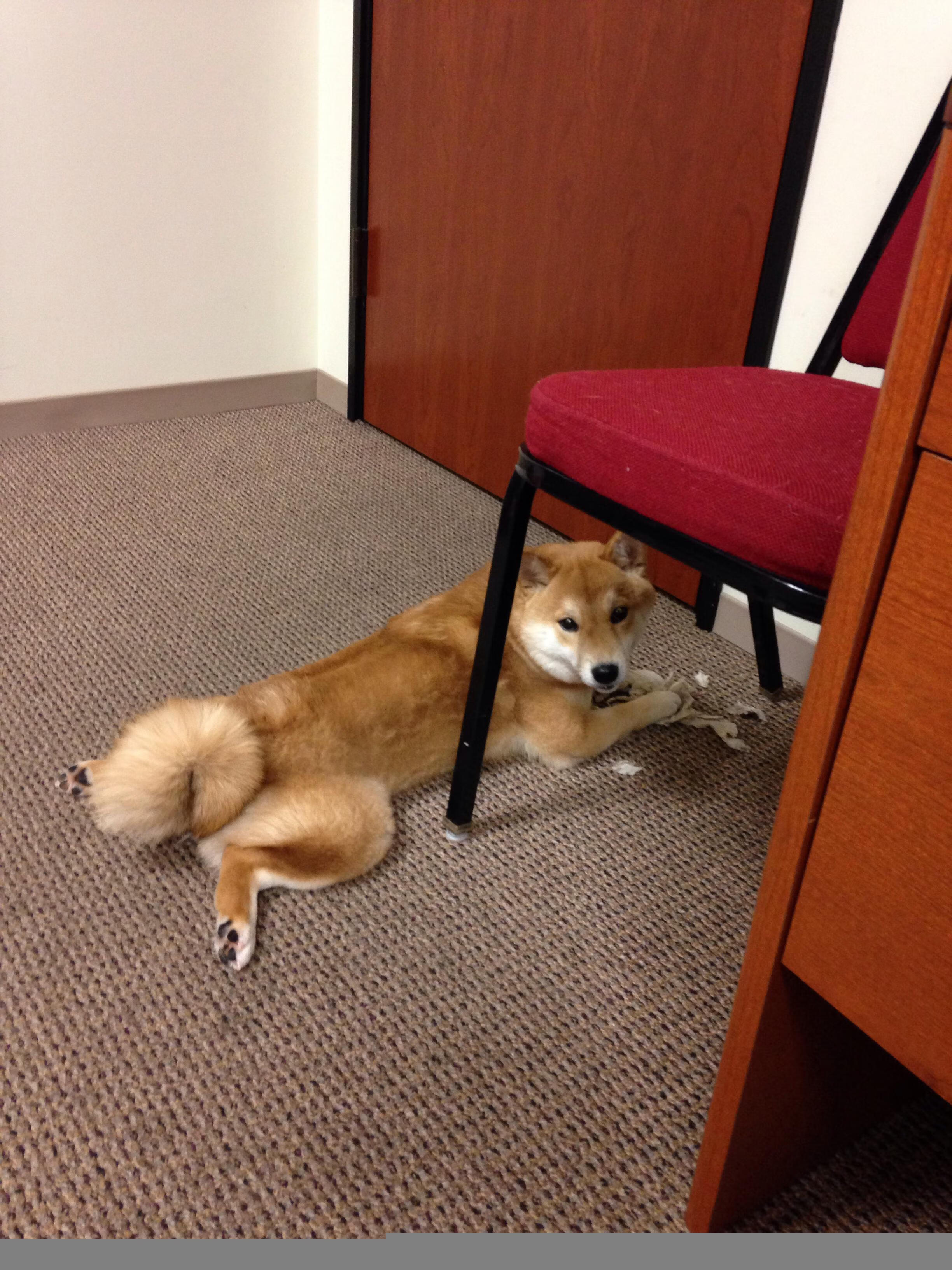 东契奇砍出史诗数据，76人上演末节风暴，篮球的两种终极答案