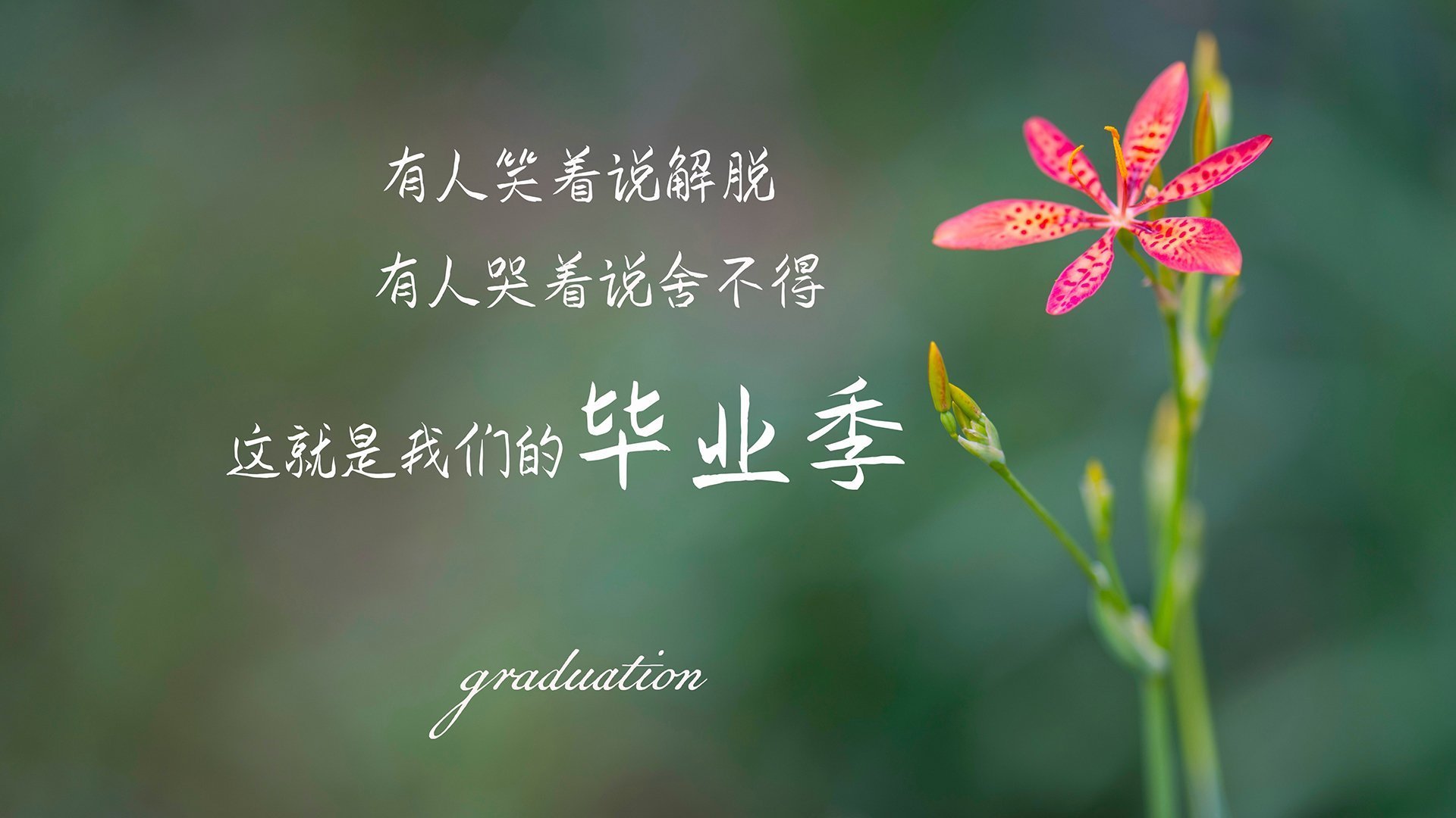 坎特，洪都拉斯决战马里的夜晚，大场面先生如何定义传奇