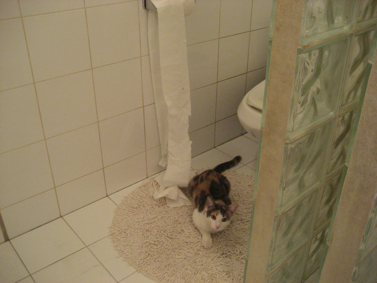 东亚大都会驯服孤星州，当哈利伯顿的魔法点燃北京的冬夜