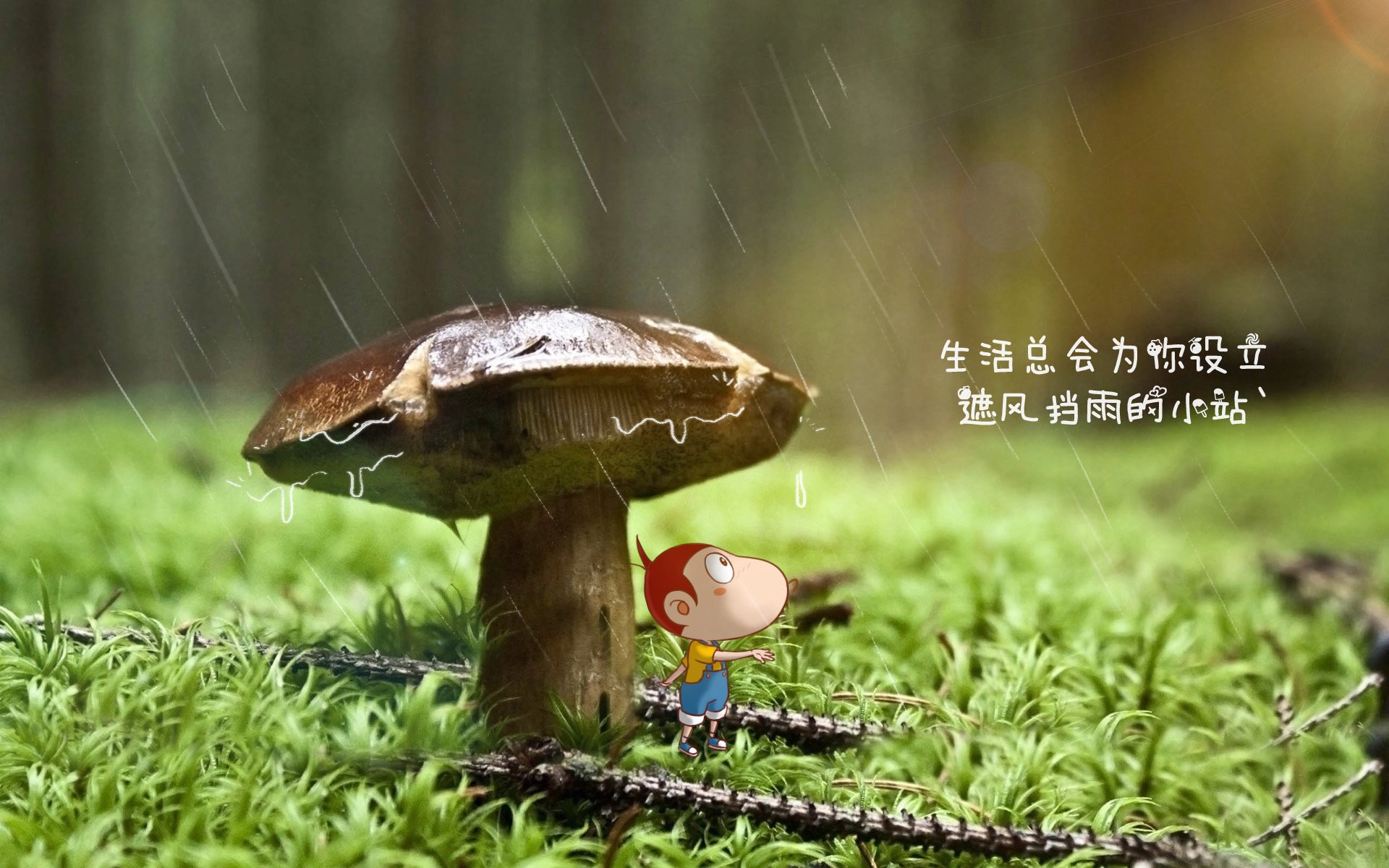 孤星对决,2026世界杯G组,挪威冰霜熄灭星条旗,卢卡库铸就橙色王冠