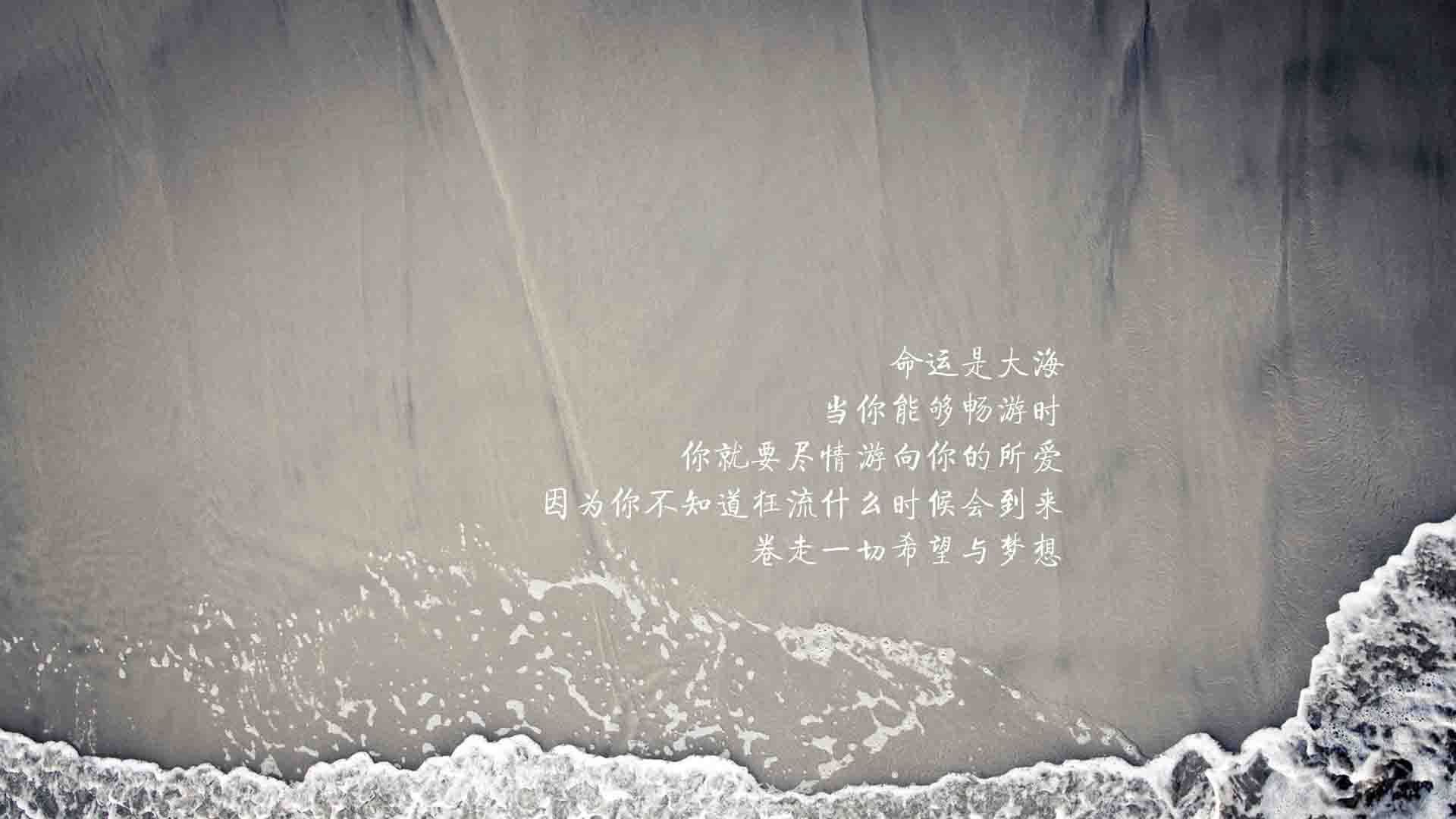 孤注一掷的蓝白闪电—2026世界杯B组关键战,波兰绝杀厄瓜多尔,费利克斯的防守反击神作